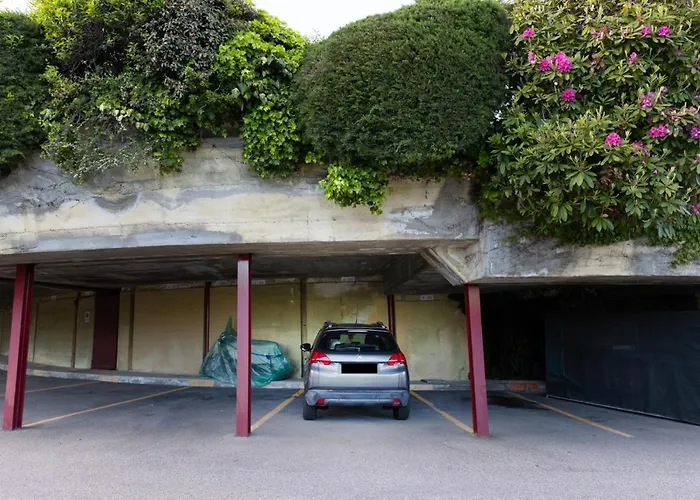 La Selva And Woods *