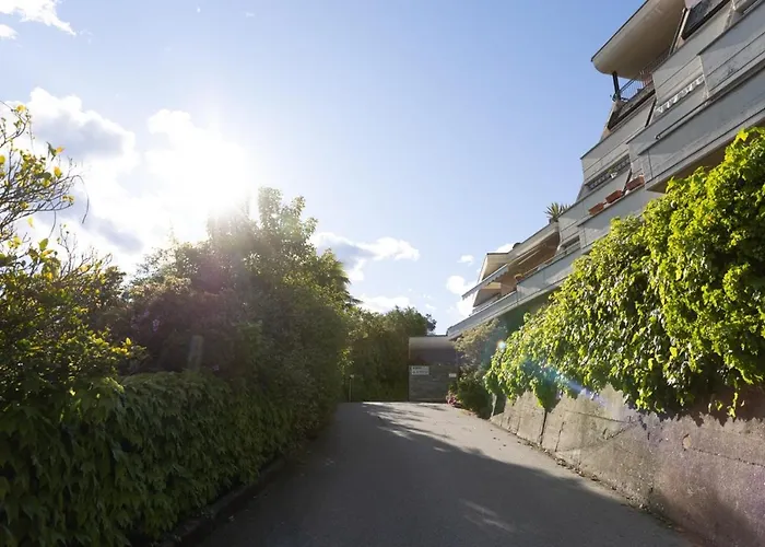 La Selva And Woods *